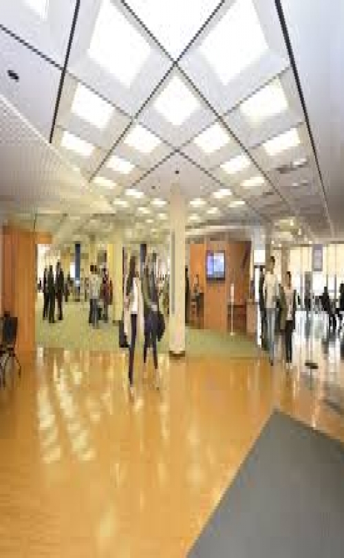 Enrollment Advisory Group - University of Bridgeport